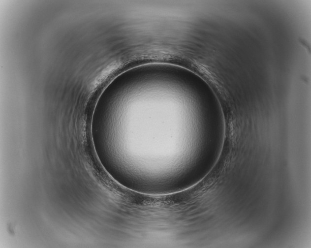 X0000101170679200807071222