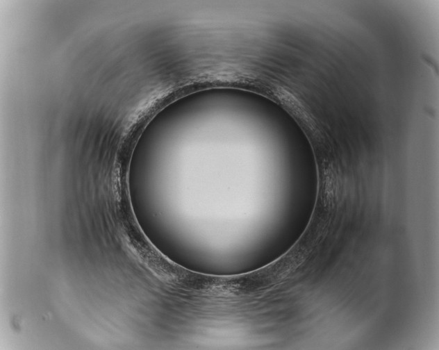 X0000101170680200807071222