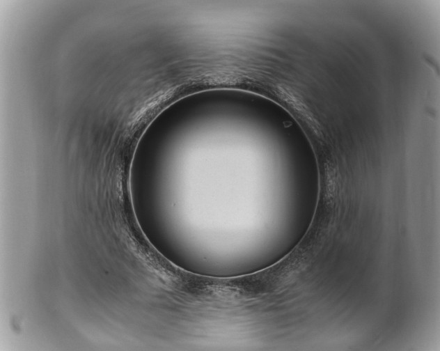 X0000101170681200807071222