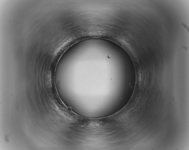 X0000101170684200807071222