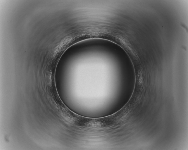 X0000101170685200807071222