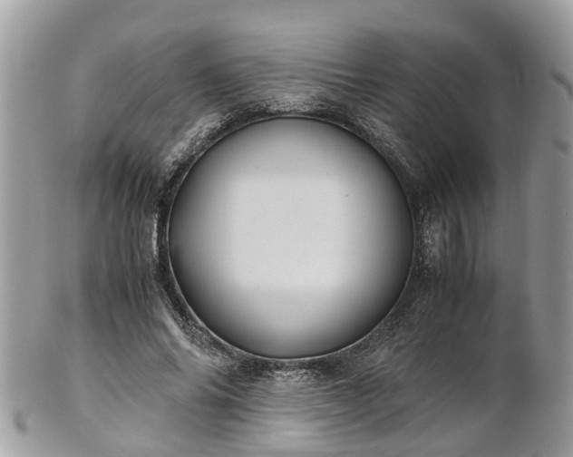 X0000101170686200807071222