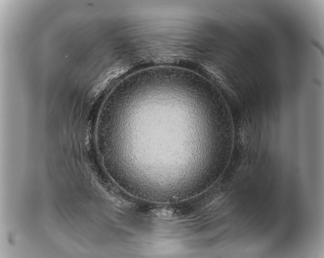 X0000101170687200807071222