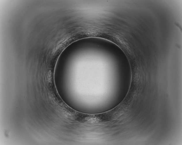 X0000101170689200807071222