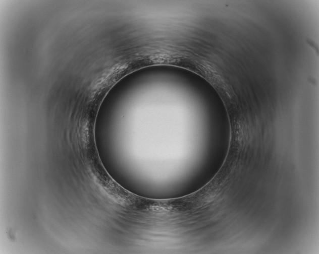 X0000101170690200807071222