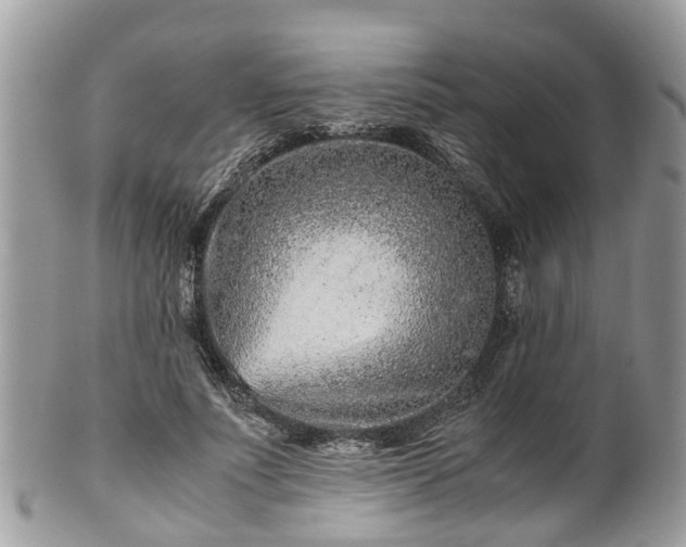 X0000101170691200807071222
