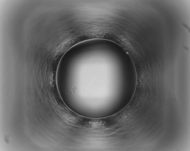 X0000101170693200807071222