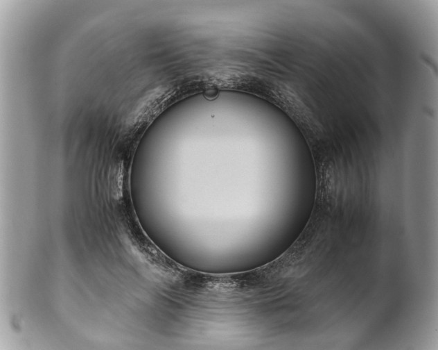 X0000101170694200807071222