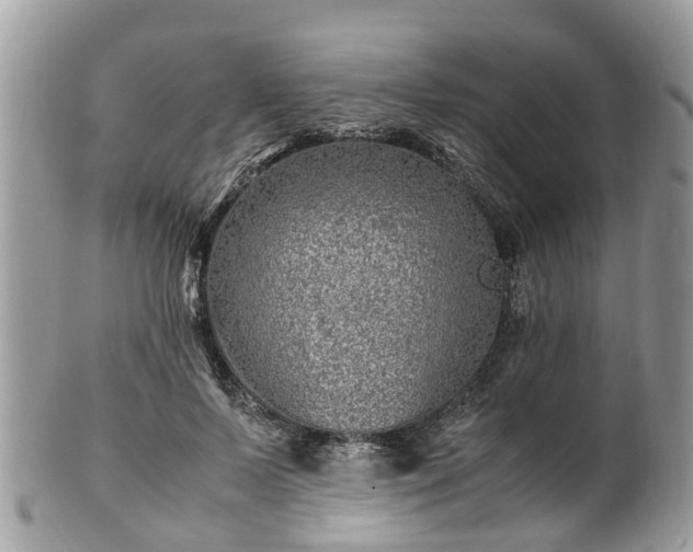 X0000101170695200807071222