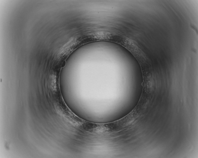 X0000101170696200807071222