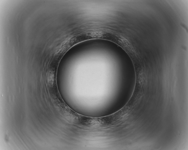X0000101170697200807071222