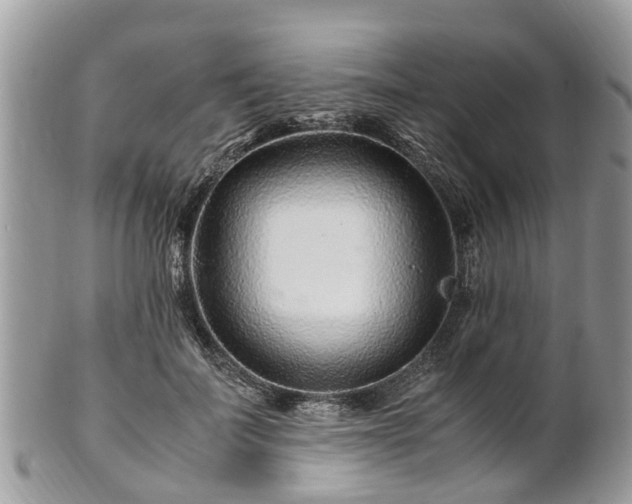 X0000101170699200807071222
