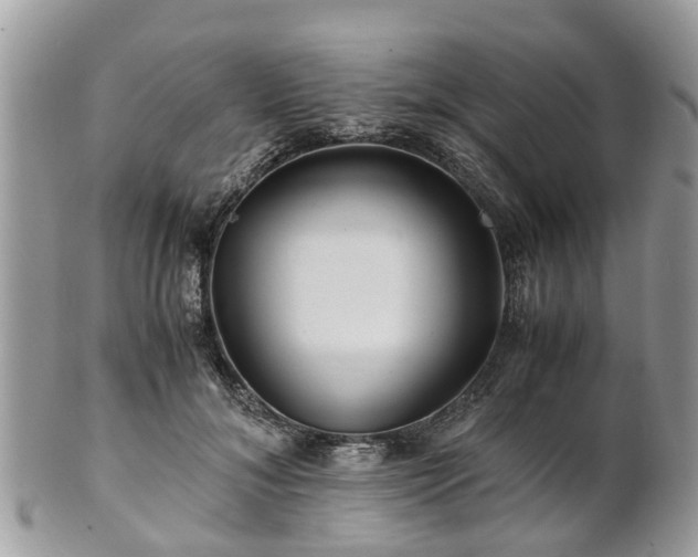 X0000101170700200807071222