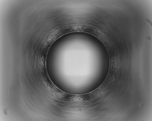 X0000101170702200807071221