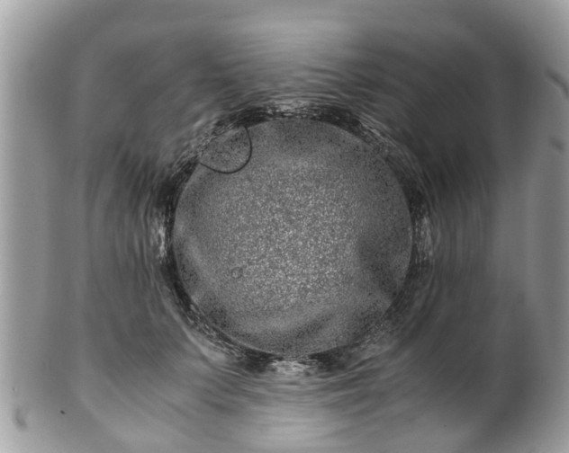 X0000101170703200807071221