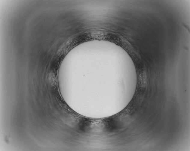 X0000101170705200807071221