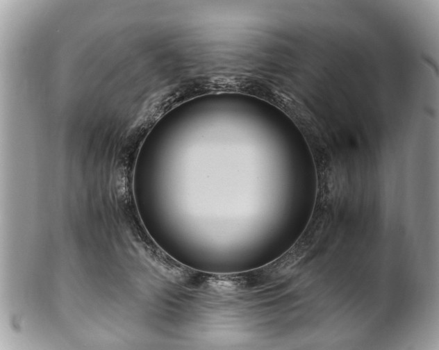 X0000101170706200807071221