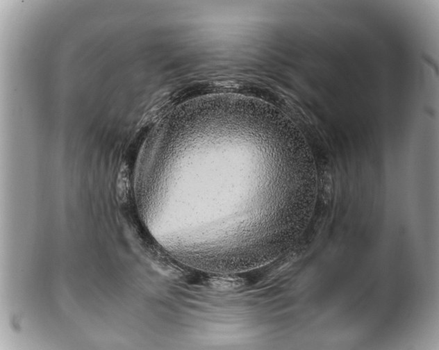 X0000101170707200807071221