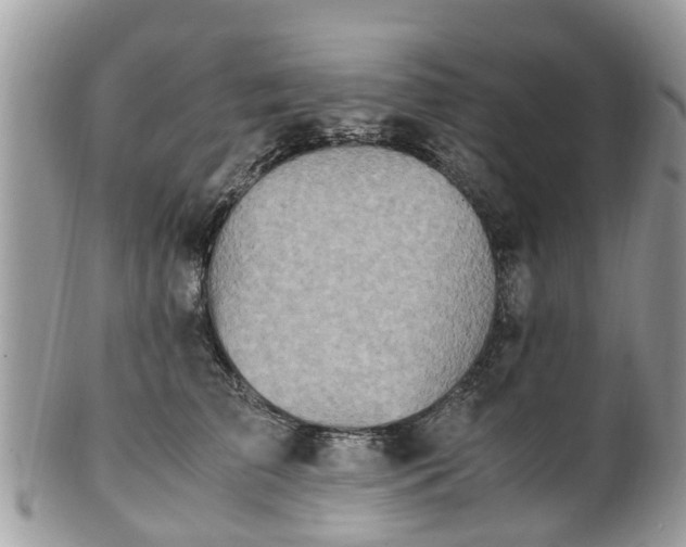 X0000101170709200807071221
