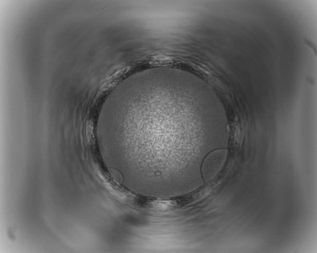 X0000101170711200807071221