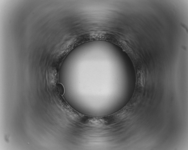 X0000101170712200807071221