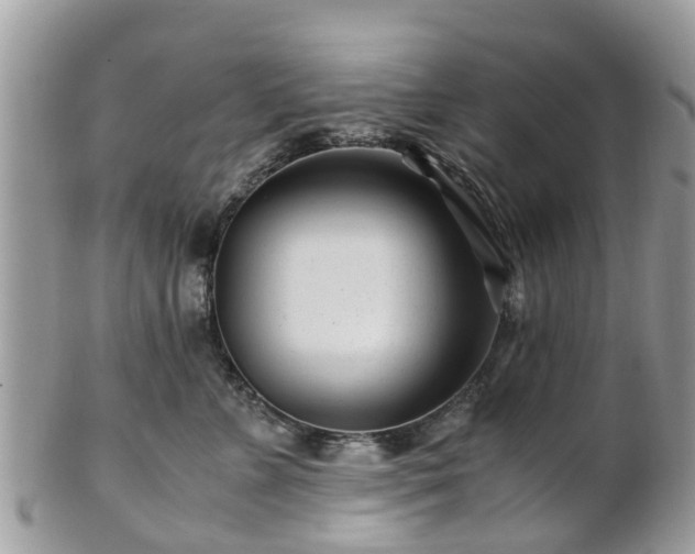 X0000101170715200807071221