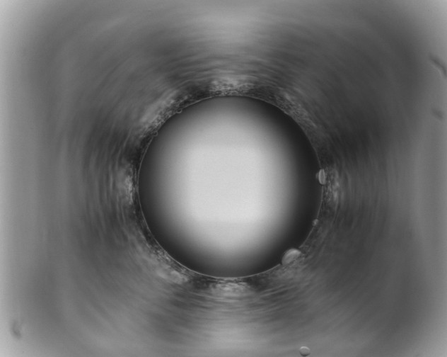 X0000101170716200807071221
