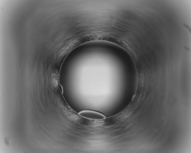 X0000101170719200807071221
