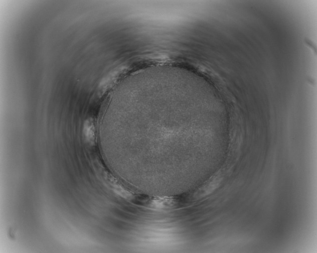 X0000101170720200807071221