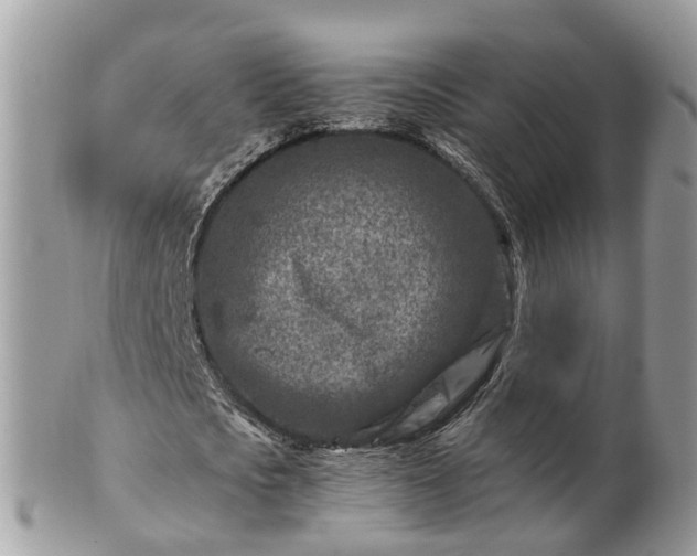 X0000101170721200807071221