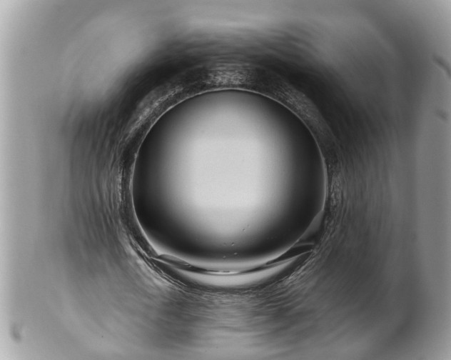 X0000101170722200807071221