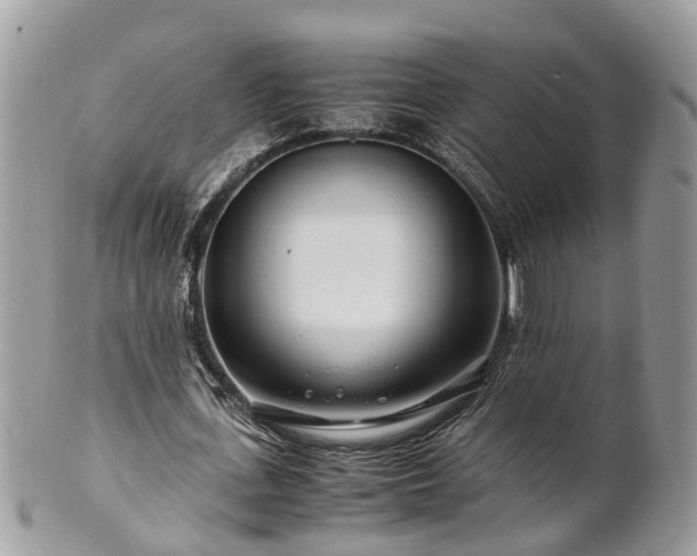 X0000101170723200807071221