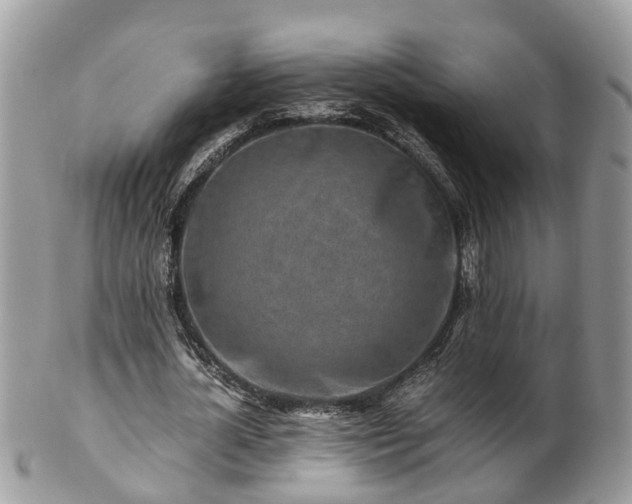 X0000101170724200807071221