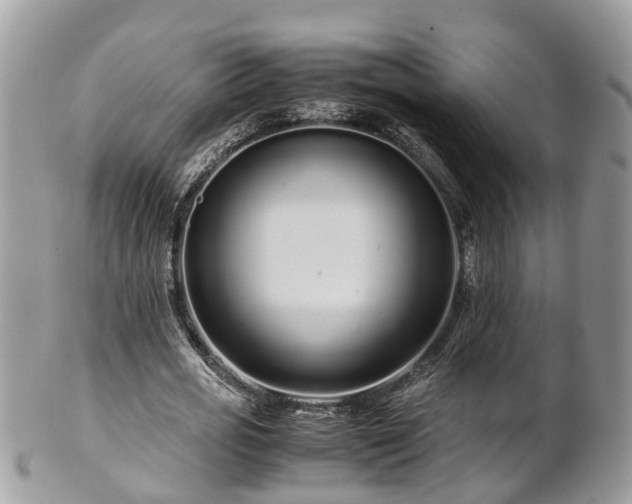 X0000101170725200807071221