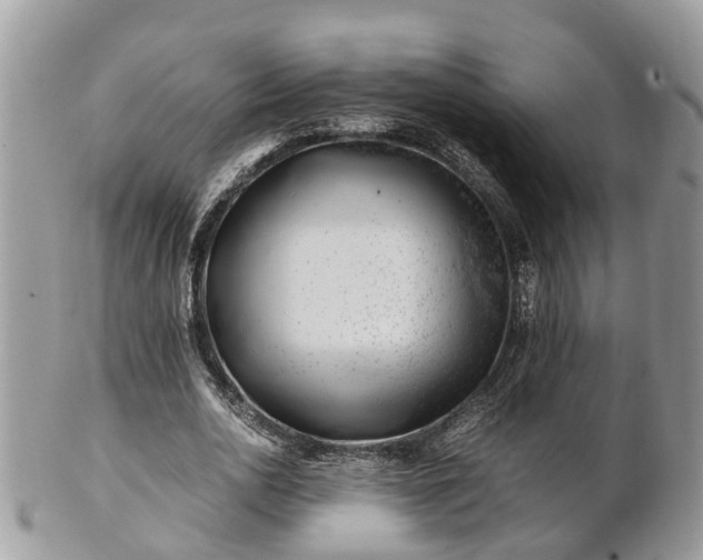 X0000101170726200807071221