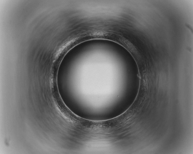 X0000101170728200807071221