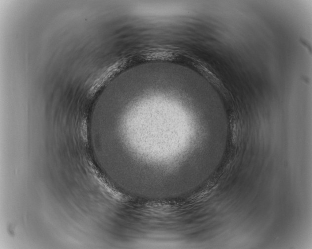 X0000101170729200807071221