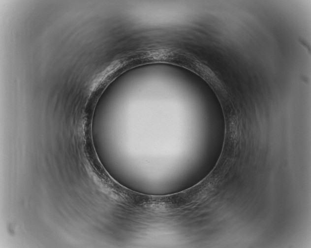 X0000101170730200807071221
