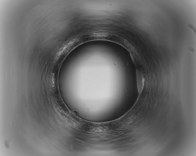 X0000101170731200807071221