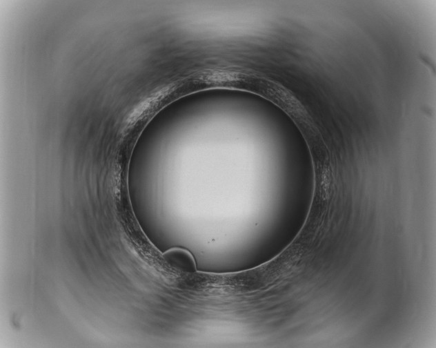 X0000101170732200807071221