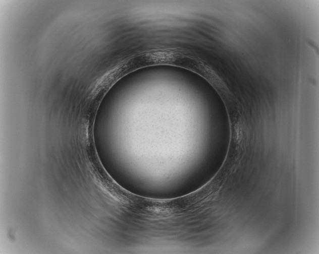 X0000101170733200807071221