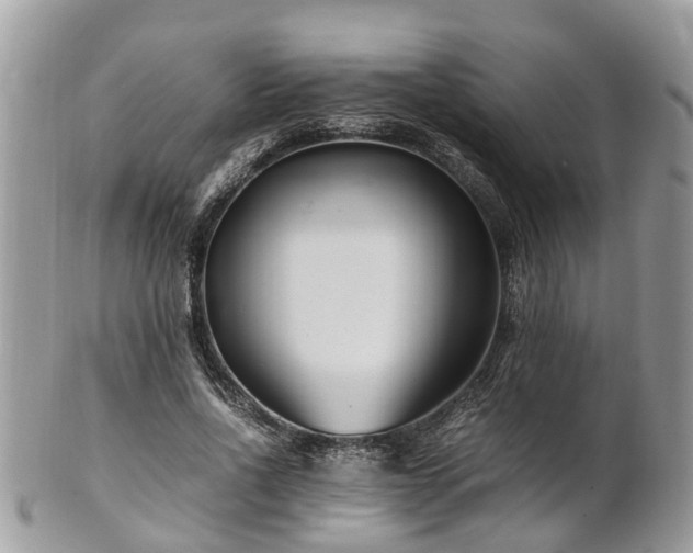 X0000101170734200807071221