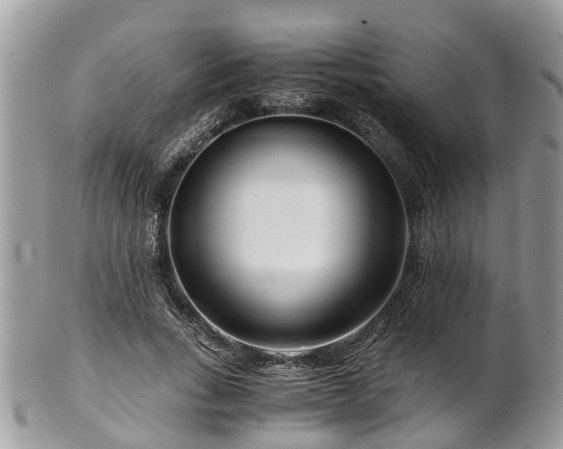 X0000101170735200807071221