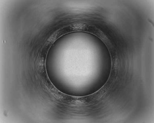 X0000101170737200807071221