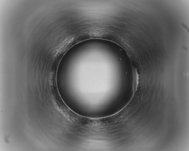 X0000101170738200807071221