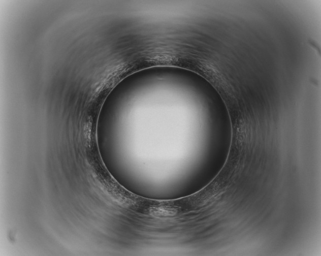 X0000101170739200807071221