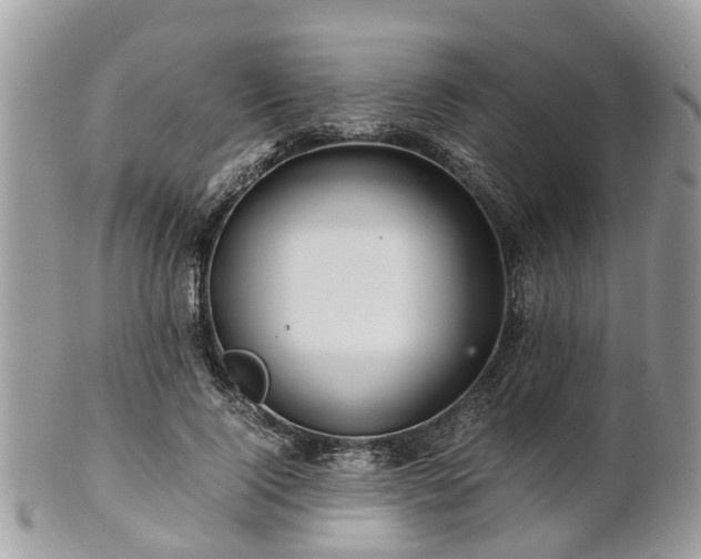 X0000101170740200807071221