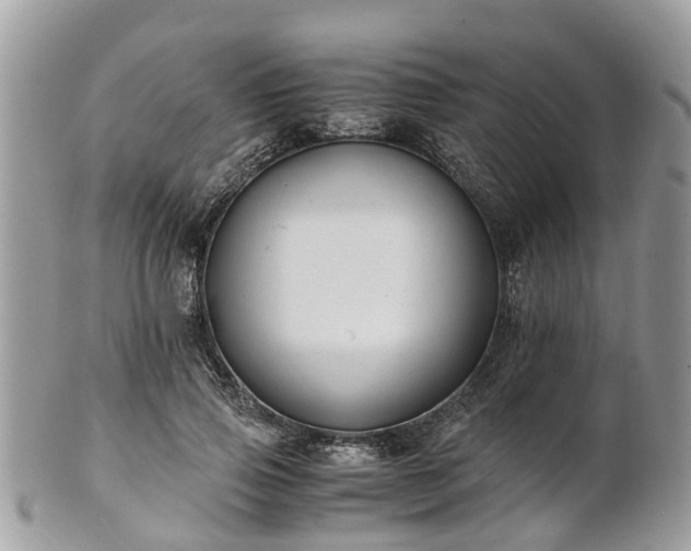 X0000101170741200807071221