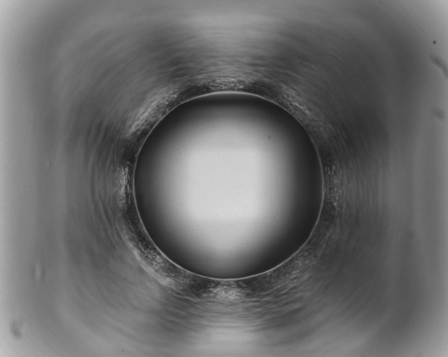 X0000101170742200807071221