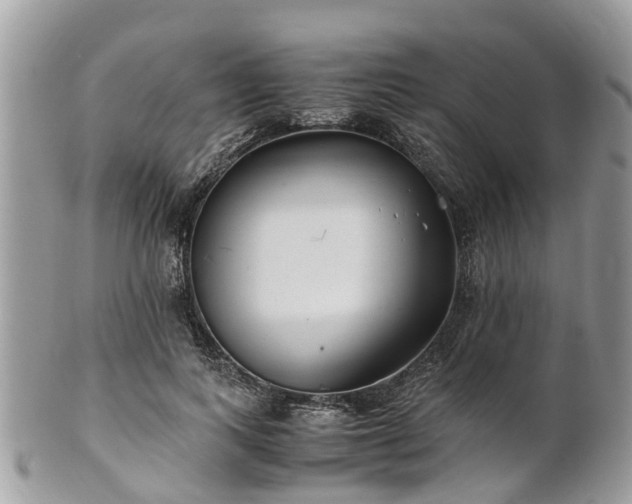 X0000101170743200807071221